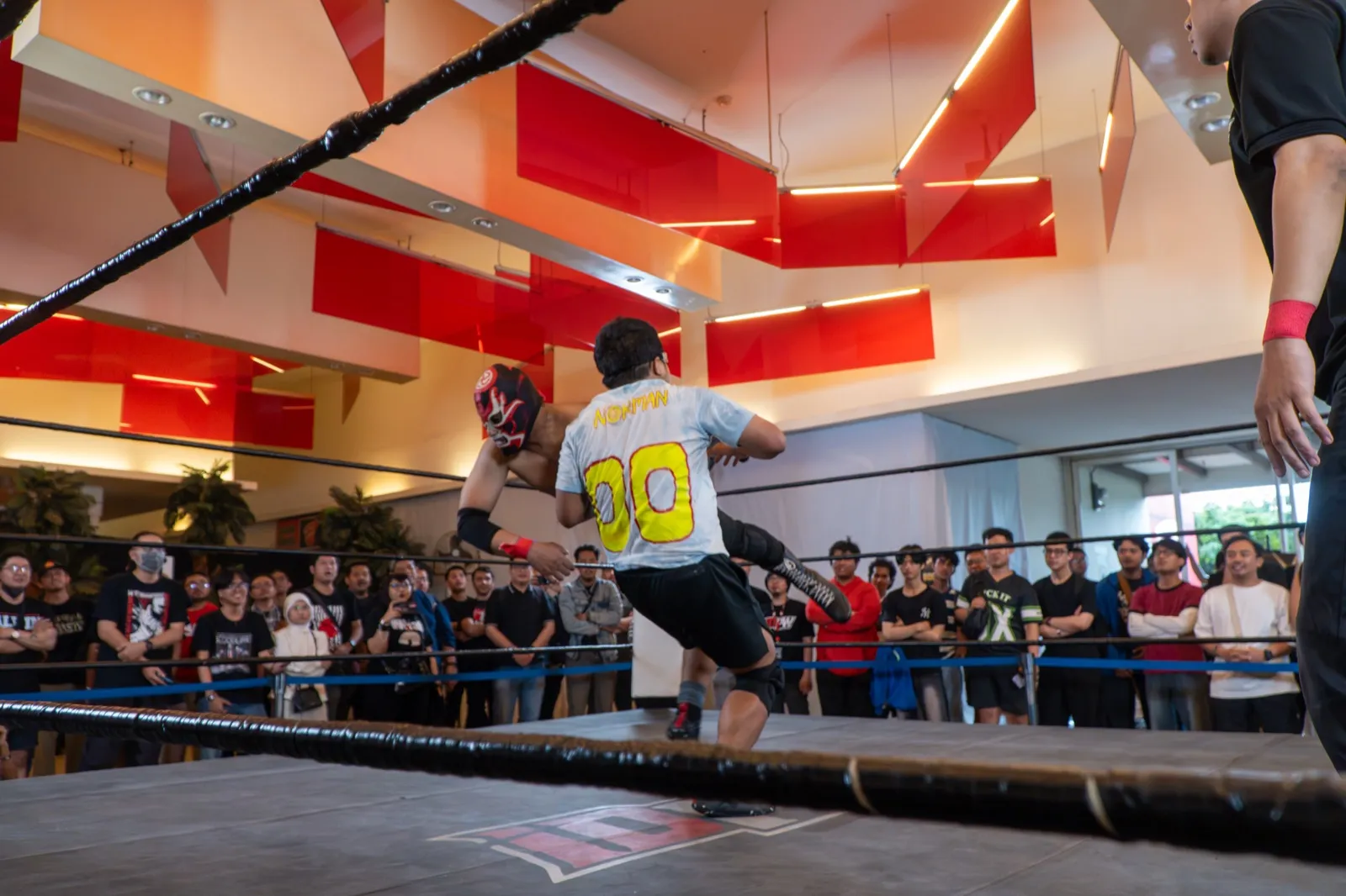 Luminar at an IDPW show