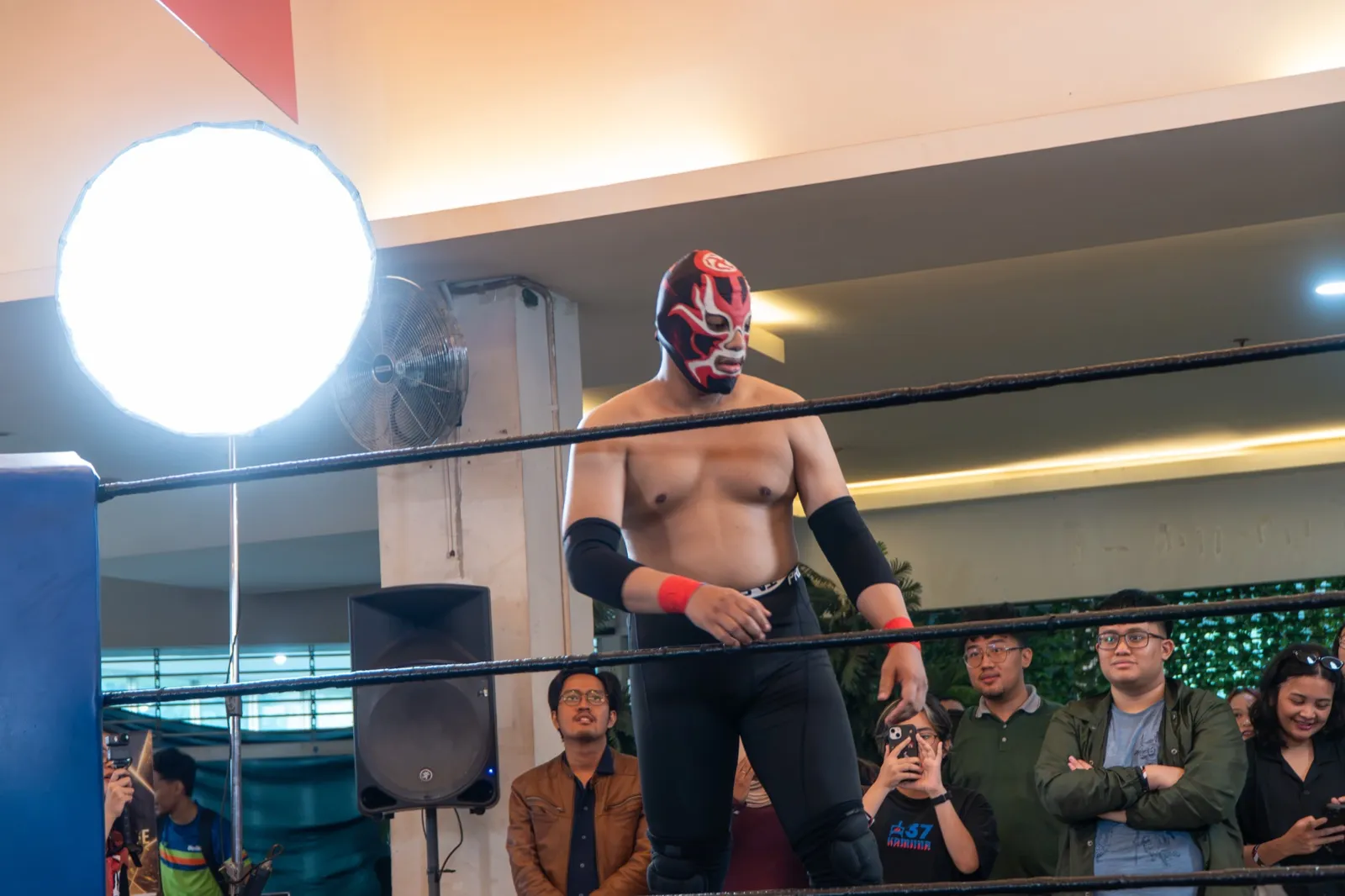 Luminar at an IDPW show