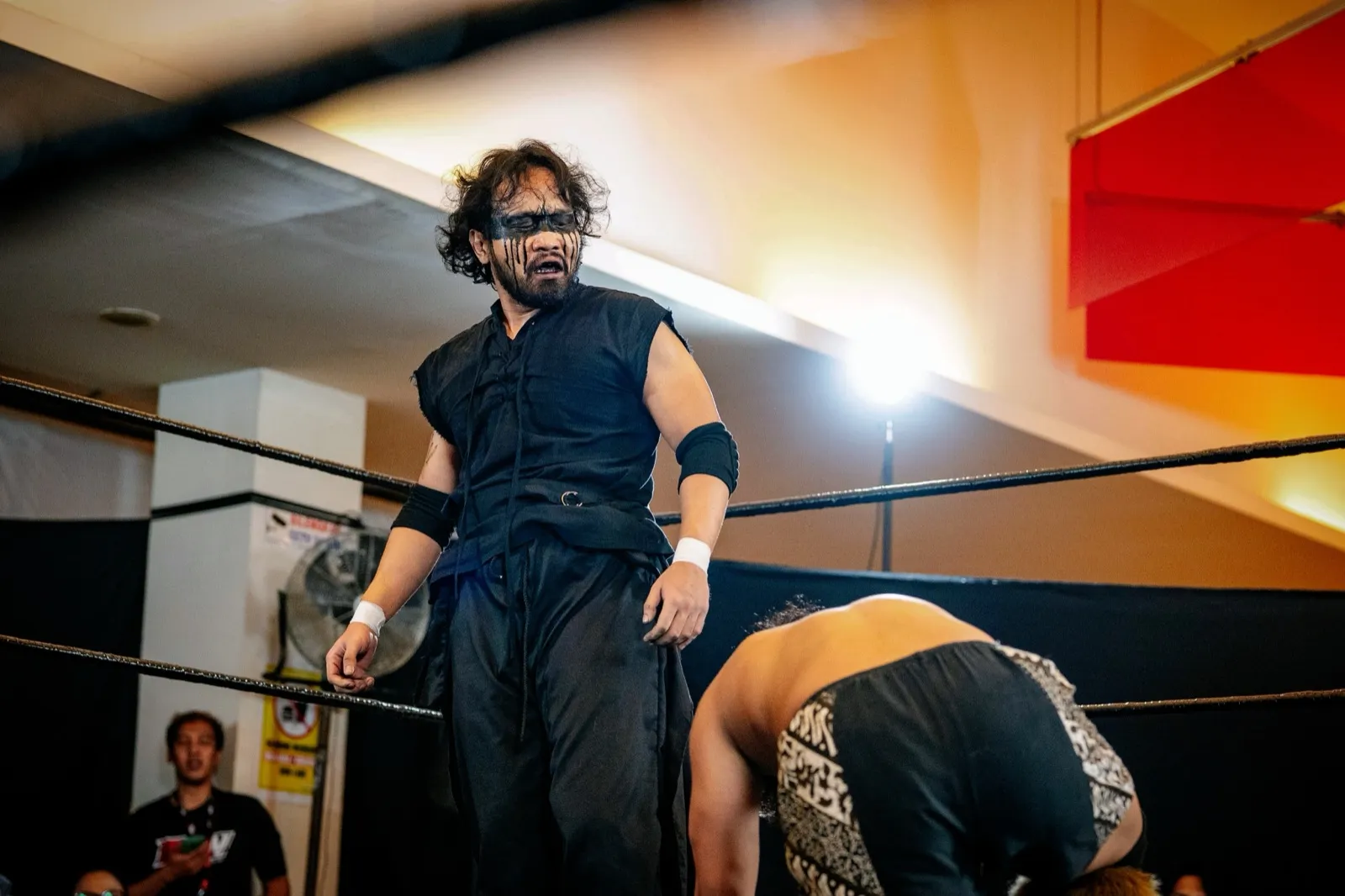 Nightfall at an IDPW show
