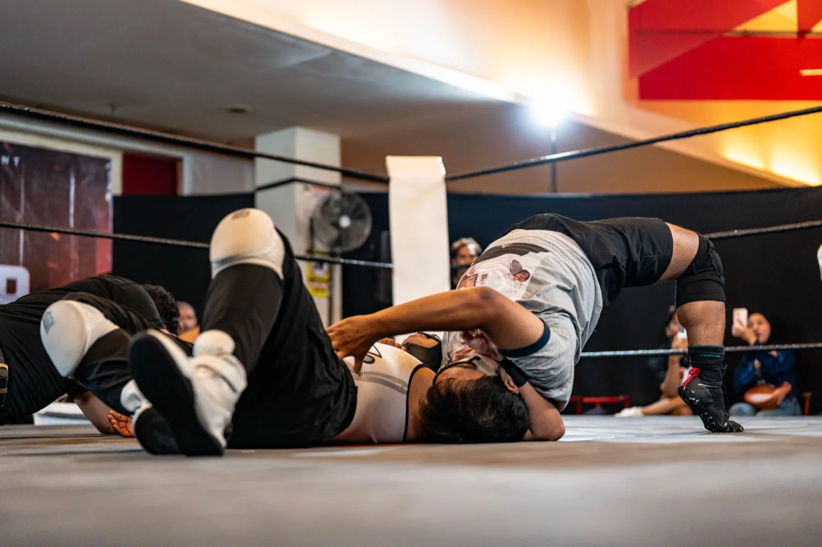Norman at an IDPW show
